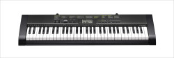 Casio - Casio CTK-1250 5 Oktav Piyano Tuşlu Org+Adaptör+Kılıf