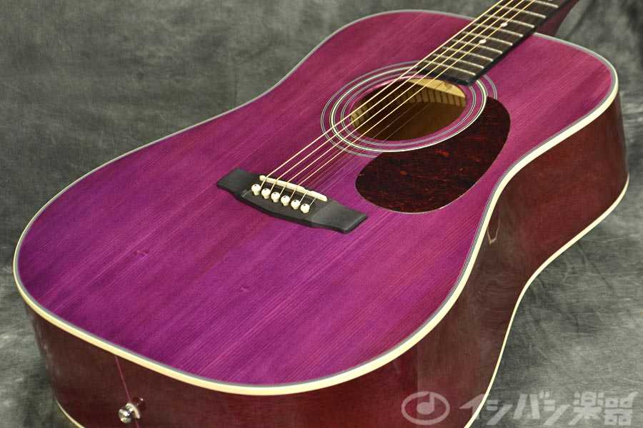 Cort EARTH70 TP Trans Purple Akustik Gitar