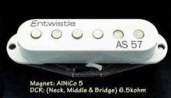 Entwistle AS57-M Single Elektro Gitar Orta Manyetik - Thumbnail
