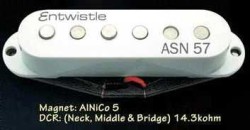 Artec Entwistle - Entwistle ASN57-M Single Elektro Gitar Orta Manyetik