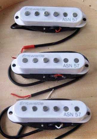 Entwistle ASN57-N Single Elektro Gitar Sap Manyetiği