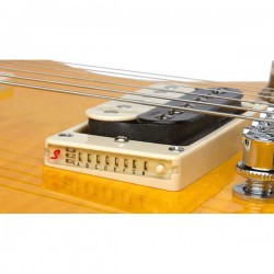 Epiphone Slash AFD Les Paul Special II Elektro Gitar Set - Thumbnail
